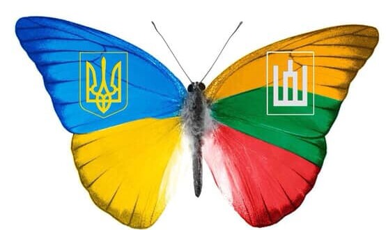 бабочки